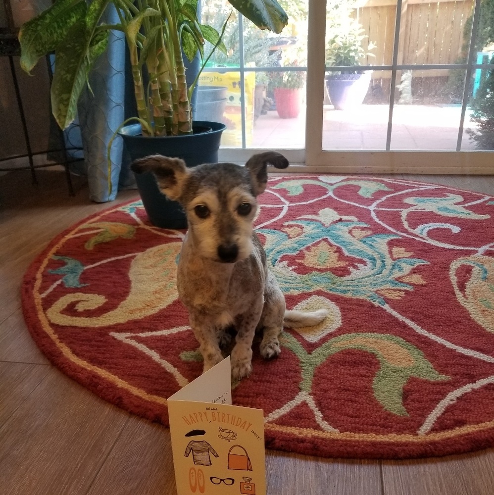 Meet your Posher, Linda